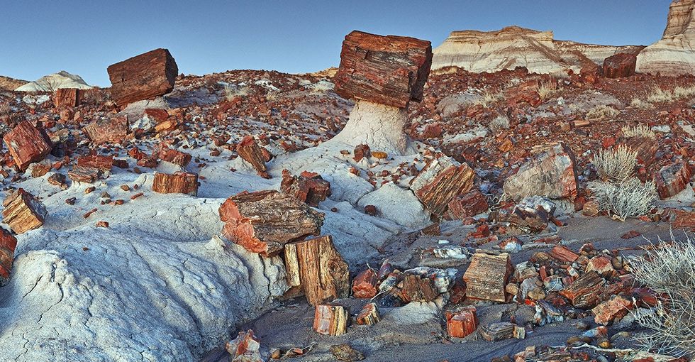 9 national parks and monuments Teddy Roosevelt saved from turning into parking lots.