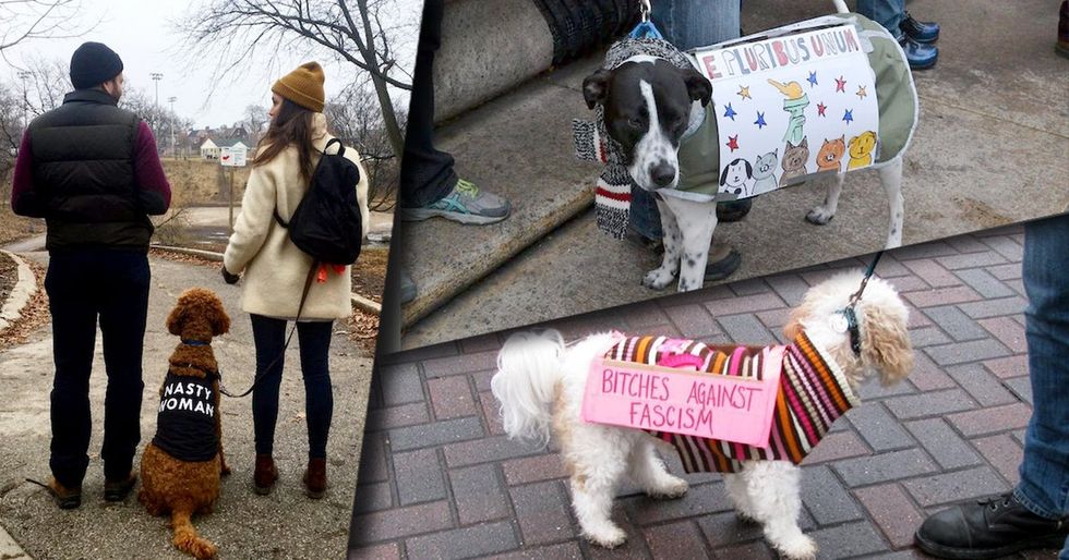 These 23 photos prove that dogs are just as fed up with the world as humans are.