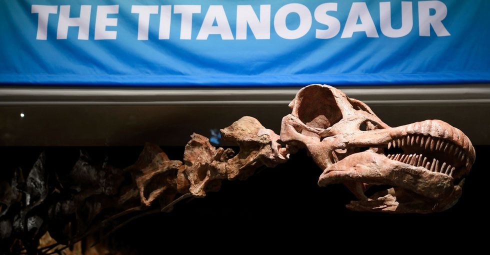 Starting in 2018, Chicago will be home to the world's largest dinosaur.