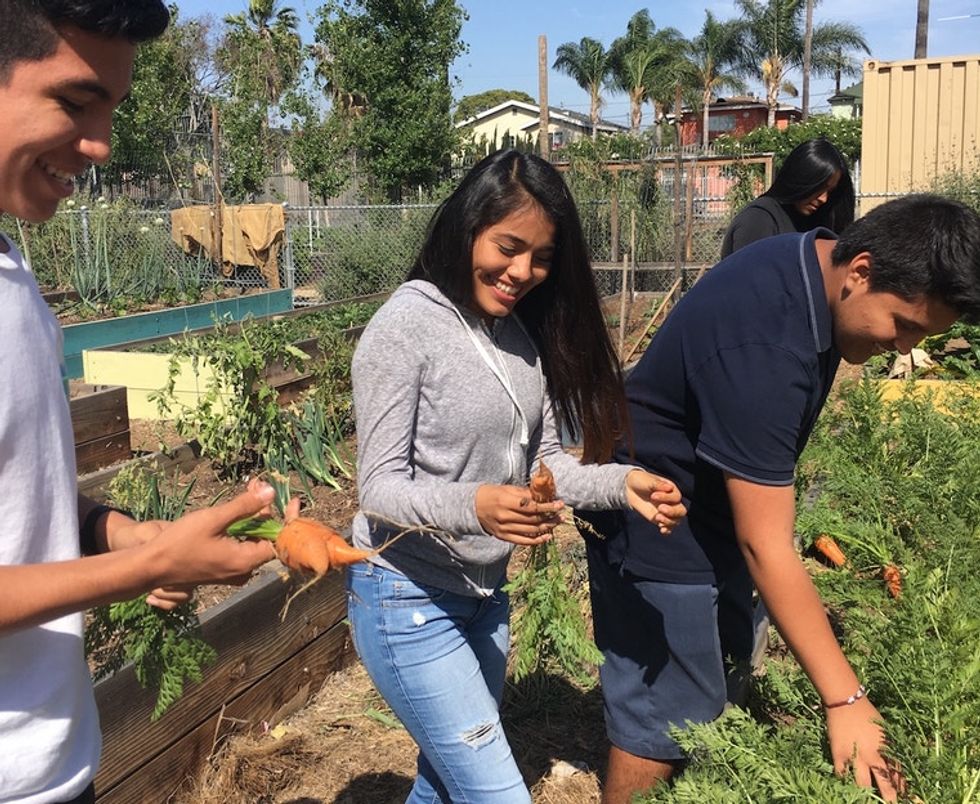 A South L.A. school is paving the way for more green spaces in underserved communities.