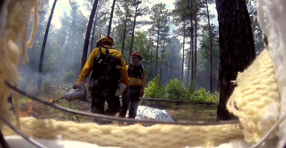 Firefighters are killed every year by wildfires. These scientists want to change that.
