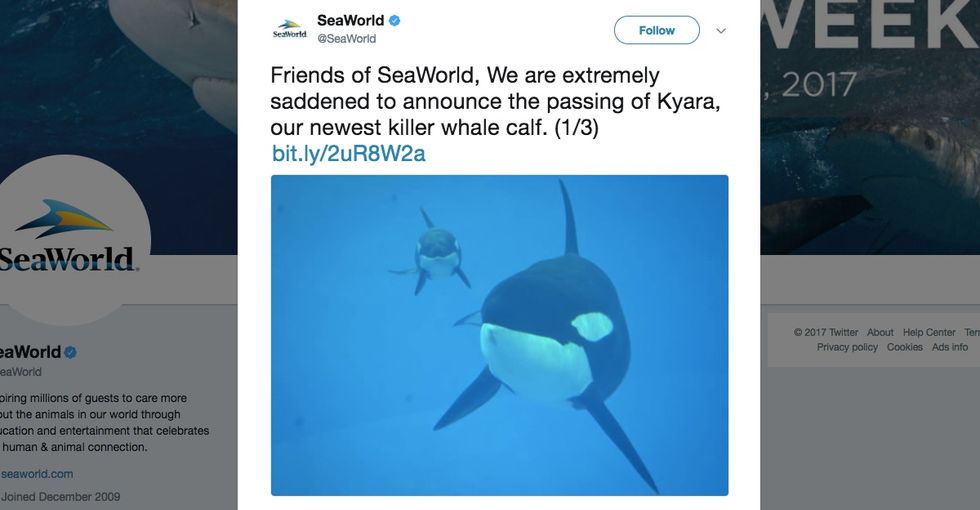 SeaWorld's cruel breeding program comes to a very bittersweet end.