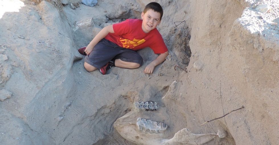 This boy tripped and fell over a fossil. Now this professor wants to display it.