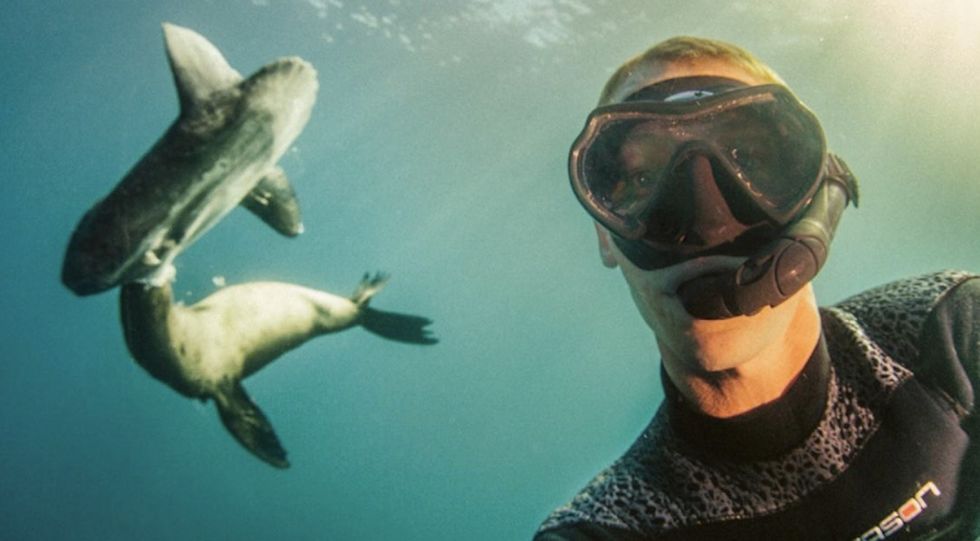 This diver's photos are spectacular. They also make an important statement.