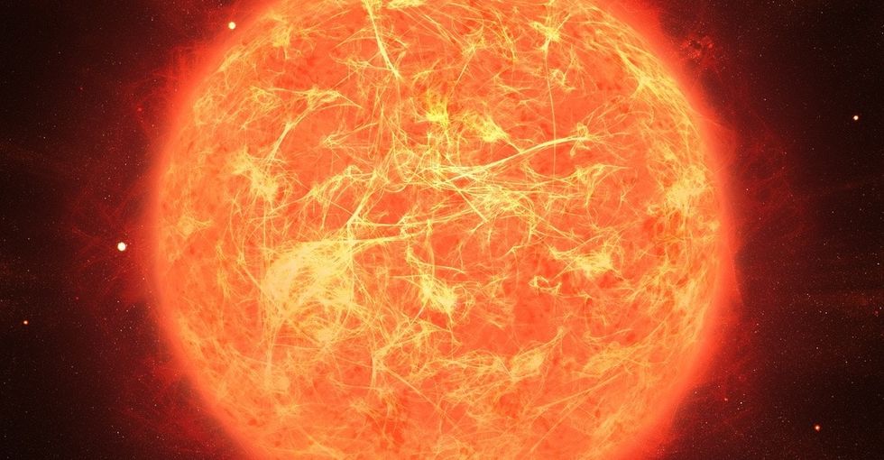 Life on Earth will survive nearly anything, say scientists. Hells yeah.