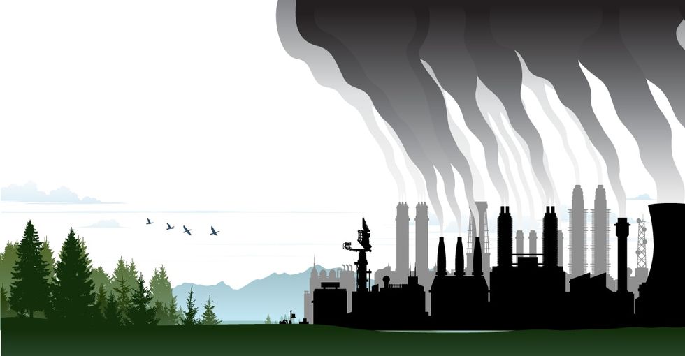 Need more evidence of global weirding? The trees are heading west.