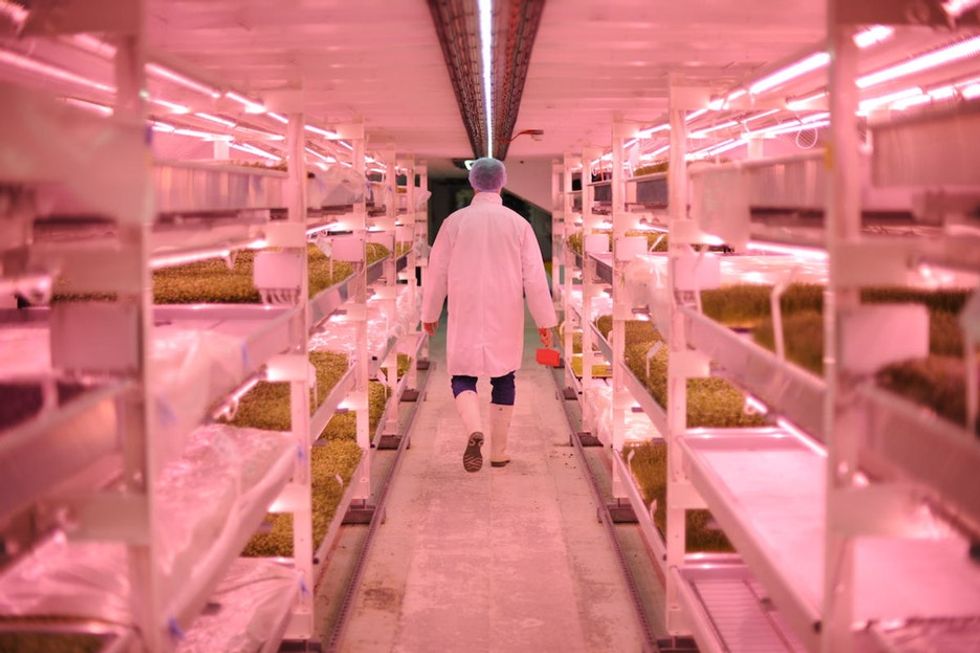 Less waste, more food. These 15 amazing images will make you rethink farming forever.