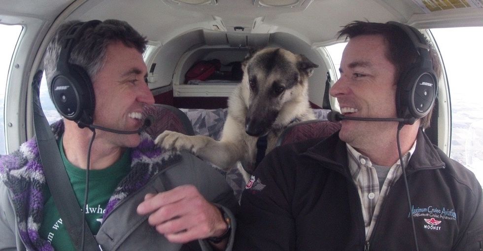 The high-flying heroes saving animals from kill shelters.