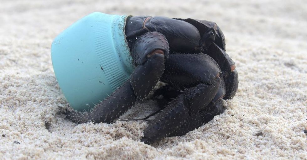 Want to see what 30 million pieces of plastic on a beach looks like? Visit this island.
