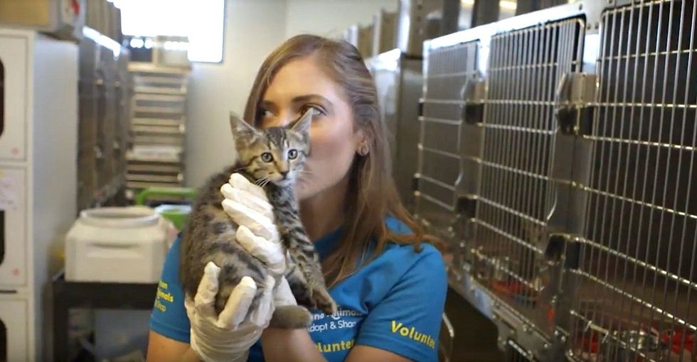 Meet the organization doing everything it can to make sure pets go to forever homes.