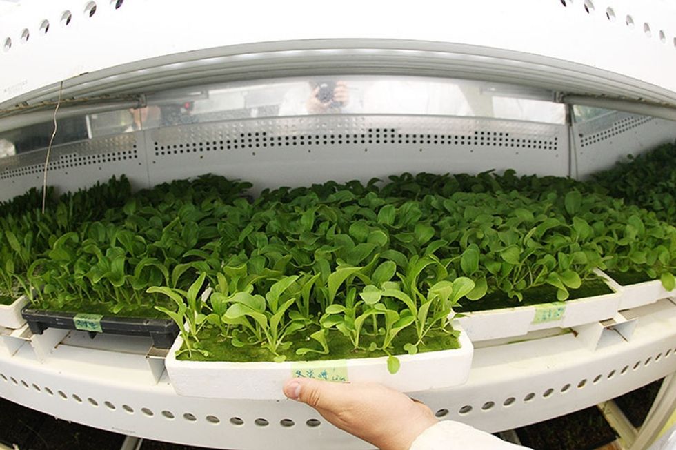 How to feed an extra 2 billion people by 2050? A shift in how we grow food.