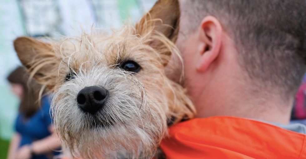 The photos from this world record charity event are a must-see for dog lovers everywhere.