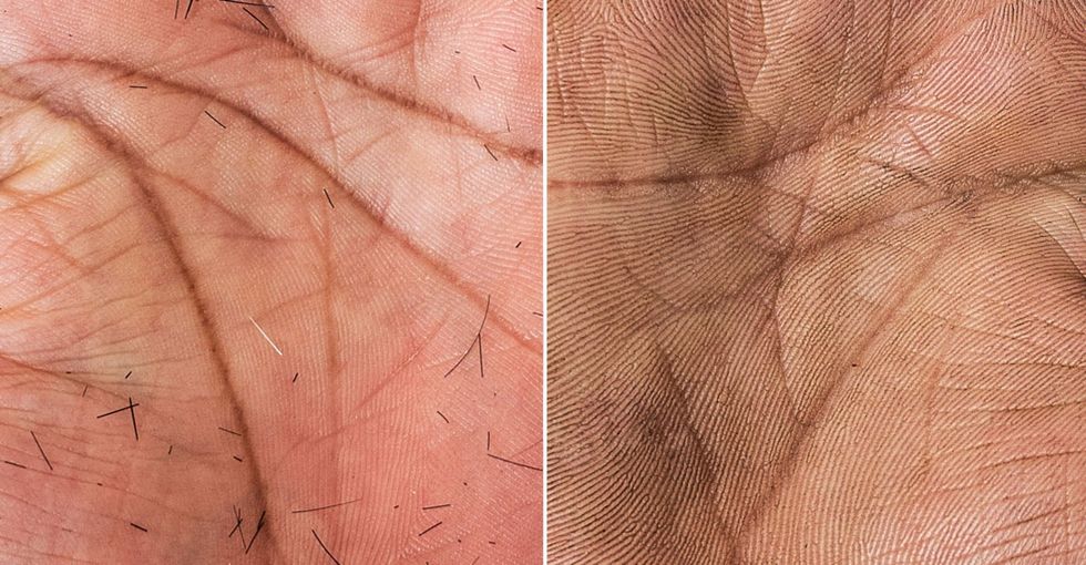 Incredibly detailed photos document the stories our hands tell.
