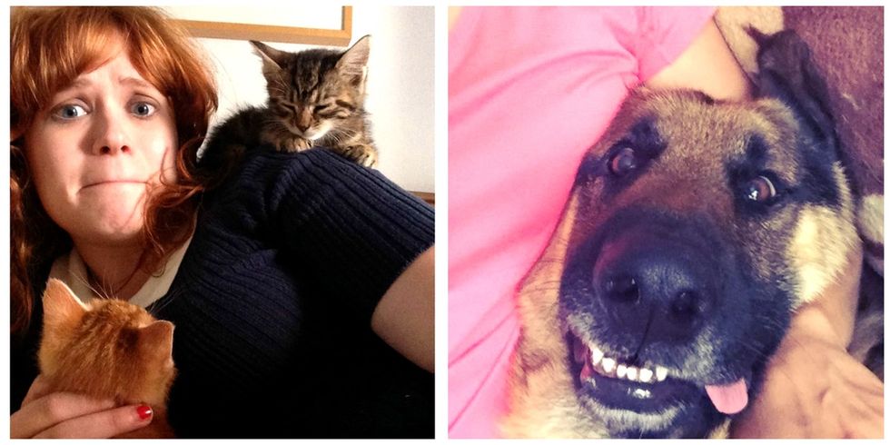 Pets are becoming social media managers to inspire pet lovers to adopt.