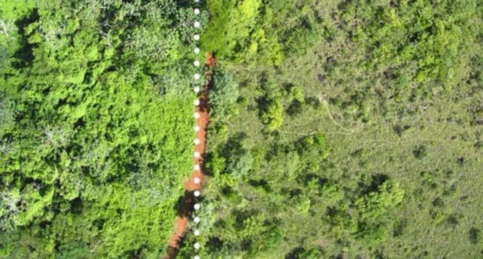 A juice company dumped orange peels in a national park. Here's what it looks like now.