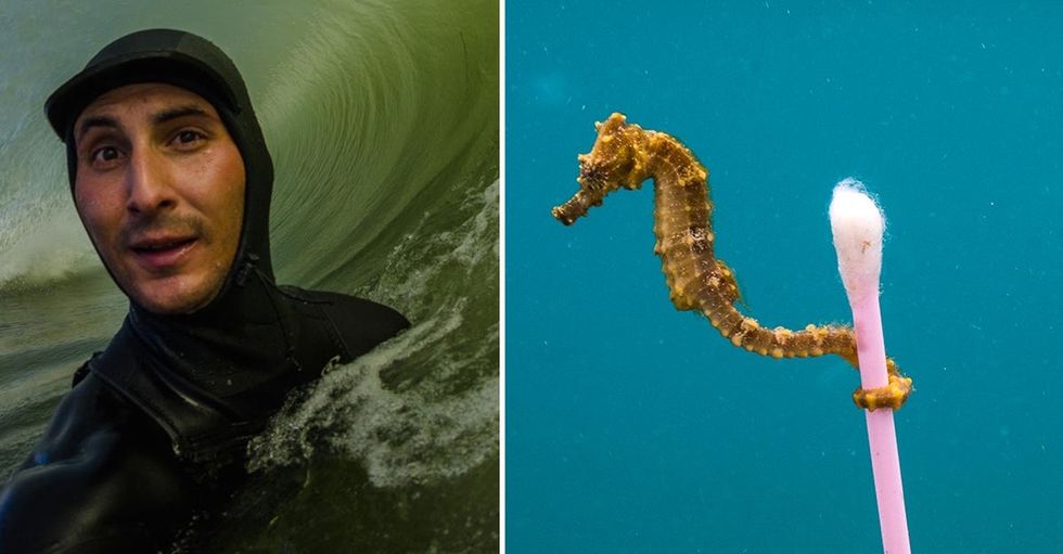 Why this photographer wishes his viral underwater photo didn't exist.