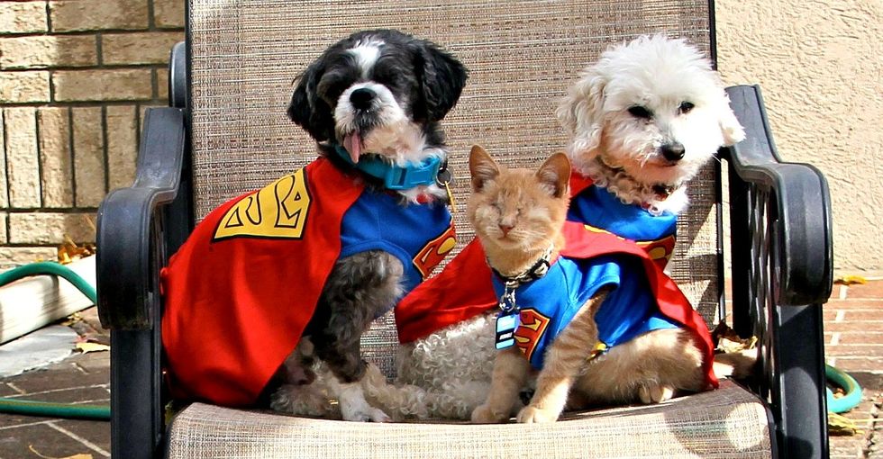She created a sanctuary to rescue wayward animals. But that's only part of the story.
