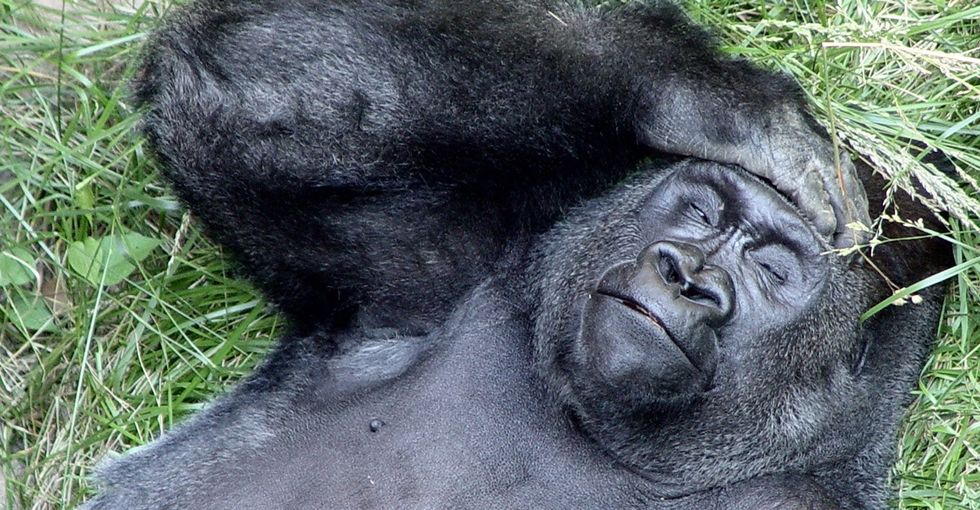We could lose 110 million good nights of sleep thanks to climate change.