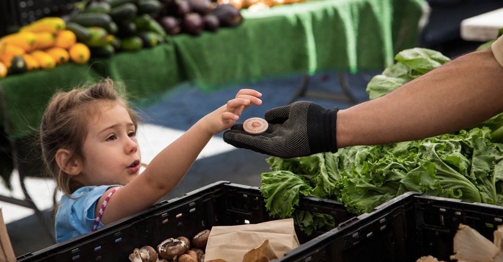 As we're scrambling to fix health care, food stamps are quietly paying off.