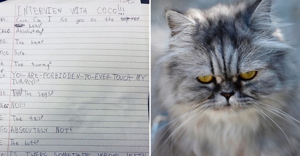 31 Days of Happiness Countdown: a girl's super funny interview with her cat. (Day 30)