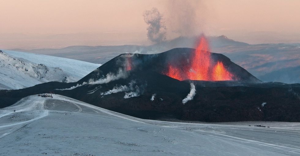 What happens when you freeze the Earth?You get the first animals.