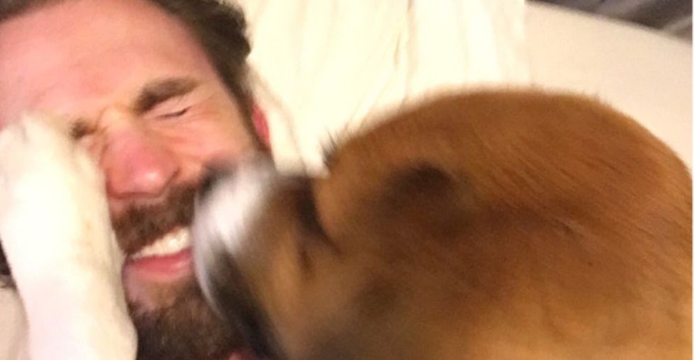 Chris Evans posted this video of his dog and nothing on the internet will ever be better.