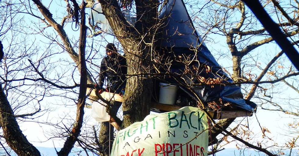 There's been a quiet protest happening in the trees of Appalachia. Now, it's catching on.
