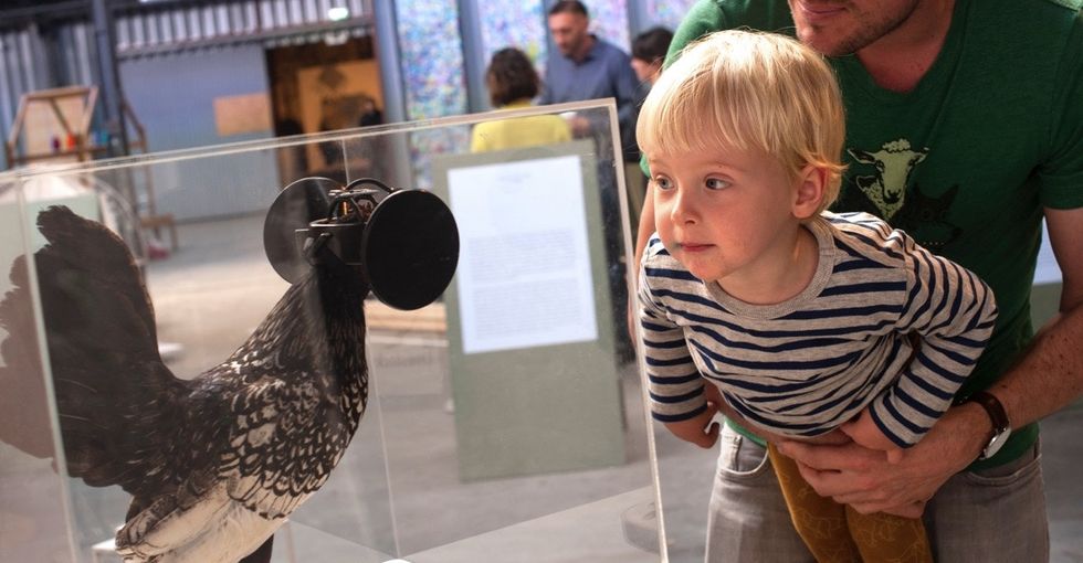 11 photos that answer the burning question: What if nature, but also robots?
