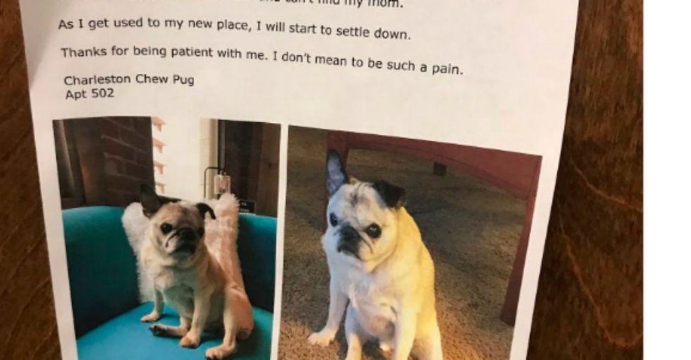 Note on woman's apartment door about her howling old pug is a heartwarming reminder to treat animals with kindness.