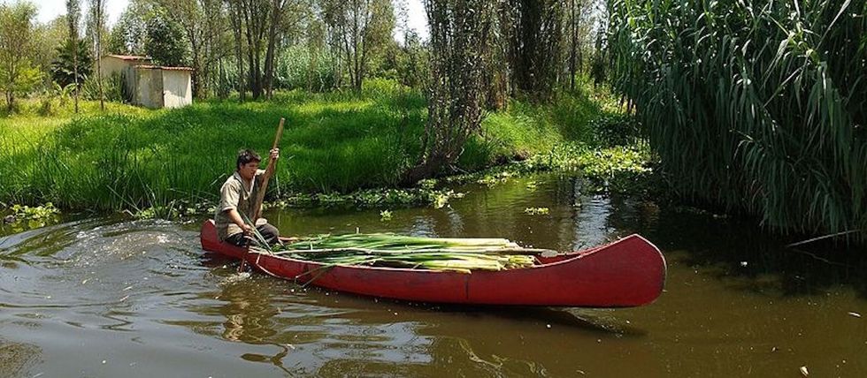 Chinampas: What they are, how they work, and why they matter today more than ever.
