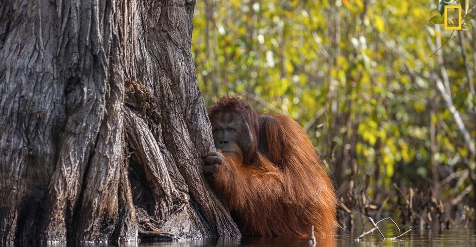 Peep these pics: National Geographic's 20 most spectacular photographs from 2017.