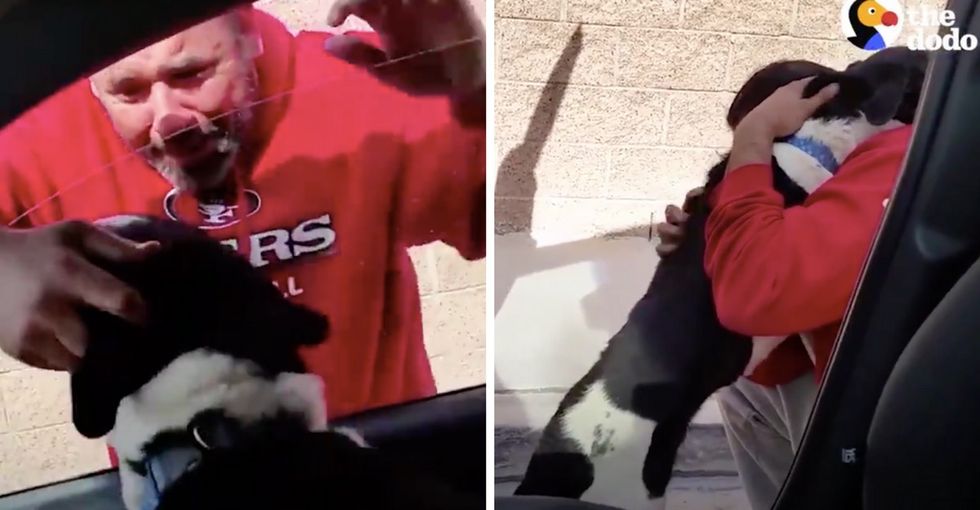 31 Days of Happiness Countdown: a dad's teary reunion with his lost pup. (Day 8)