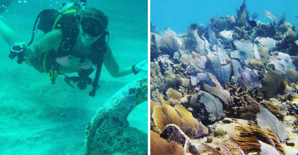 Key Largo divers were nervous after Irma. But what they found is worth a smile.