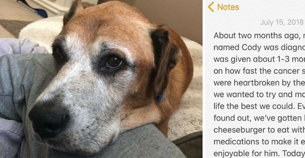 A terminally ill dog's love of cheeseburgers is the uplifting story we all need right now.