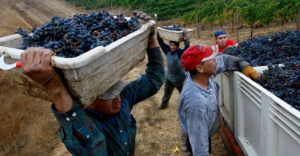 Illegal immigration myth buster: A lawyer sets the record straight on taxes and benefits.