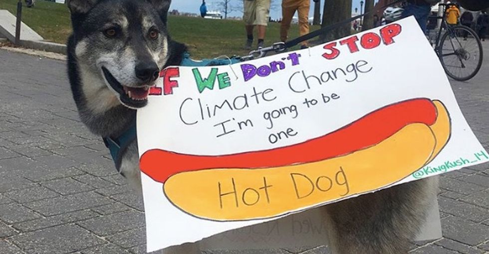 21 images of the best signs from March for Science rallies around the globe.