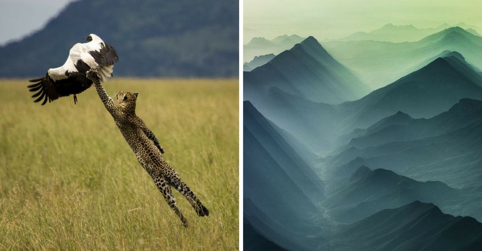 These photos were taken at just the right moment. And the results are stunning.