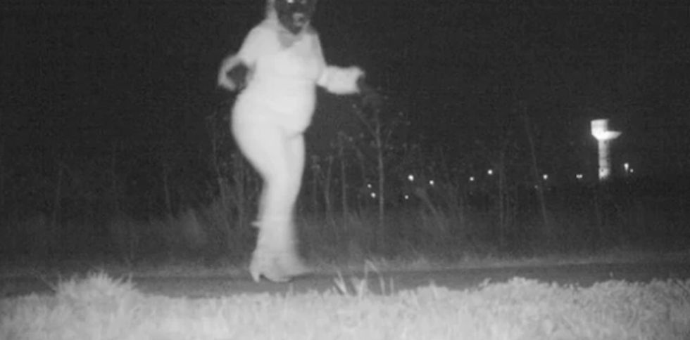 Police set up a secret camera to catch a mountain lion. That's when everything went bonkers.