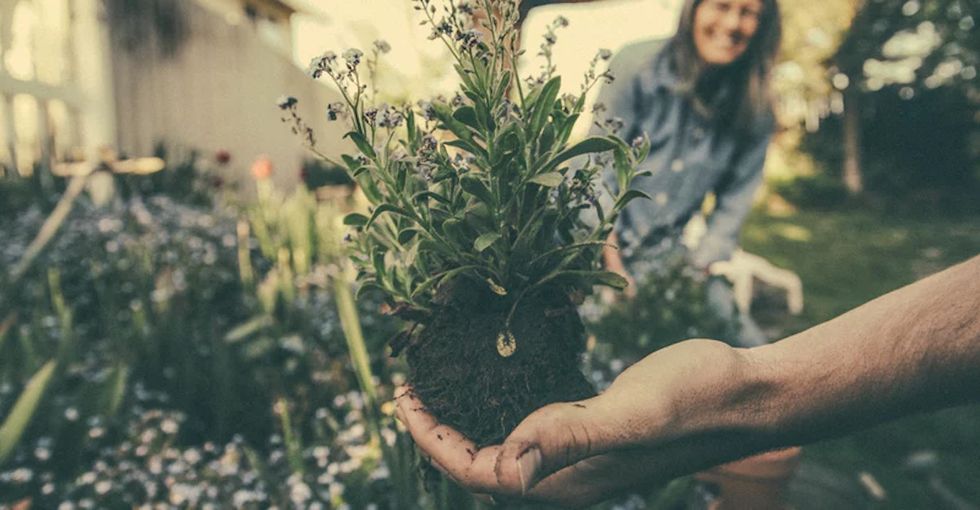 How will we feed nine billion people by 2050? Your idea could be the answer.