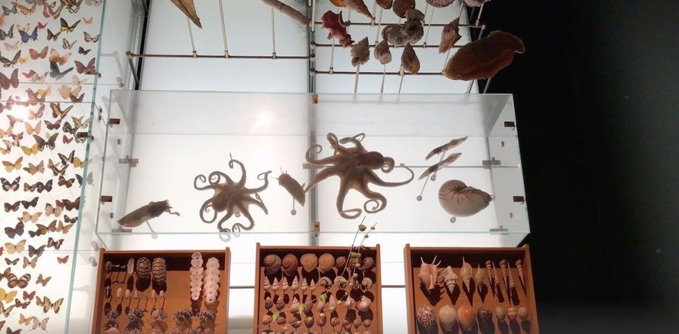 How 'micro museums' are spreading the love of science to everyone.