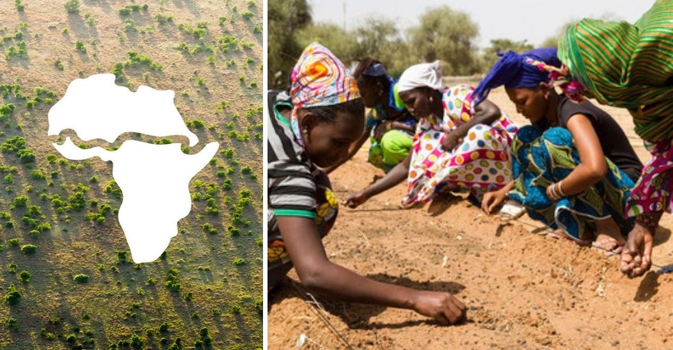 A big, beautiful wall is currently being built across the entire width of Africa.