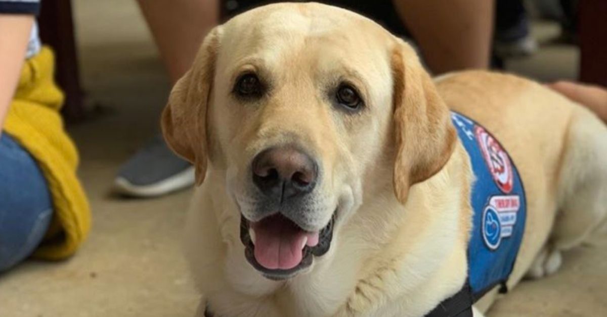 The Parkland Shooting Survivors' Therapy Dogs Just Got Their Own Yearbook Page And It's Absolutely Perfect