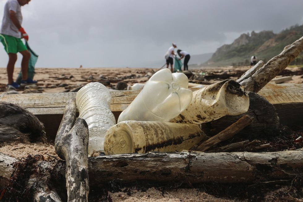 Ocean Cleanup Awareness Is Spreading And We Need To Take Action