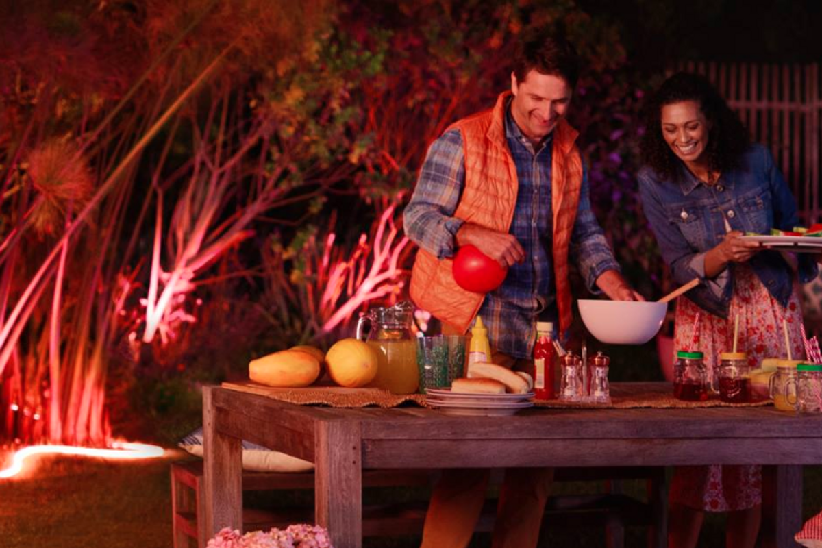 Photo of a Philips Hue outdoor LED light strip