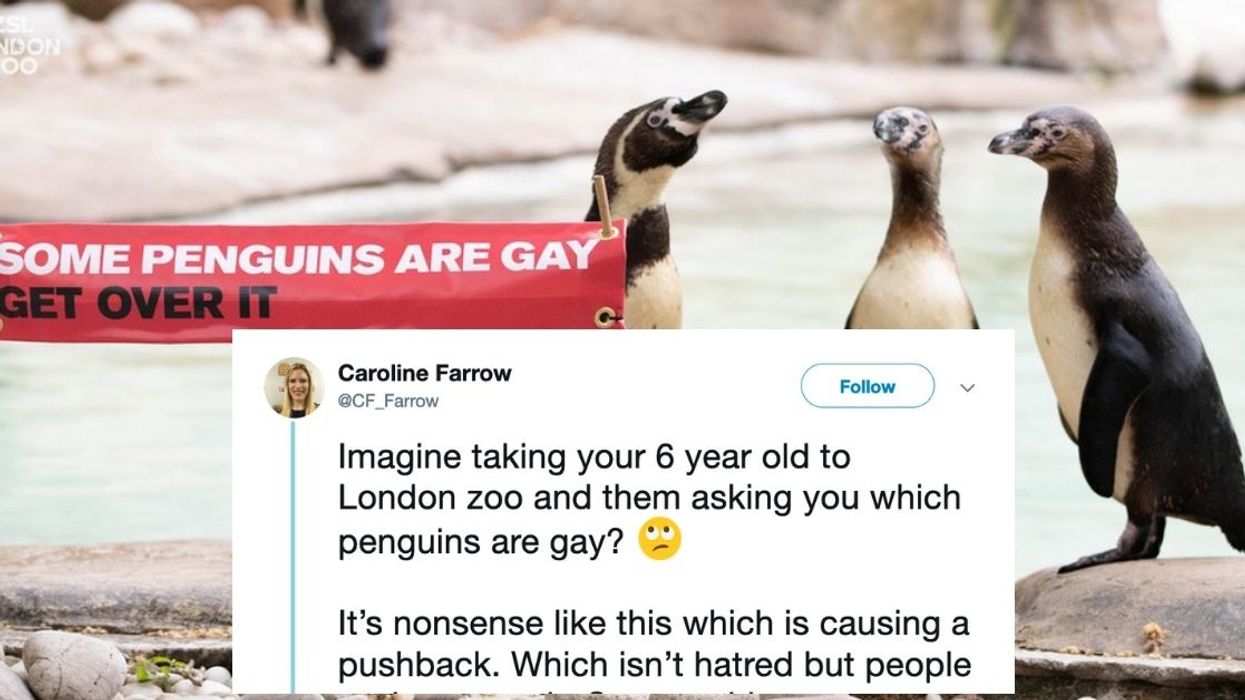 People Are Clapping Back Hard After A Woman Complained About Gay Penguins Being Celebrated