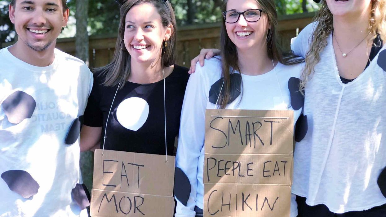 Chick-fil-A's Cow Appreciation Day set for July 9