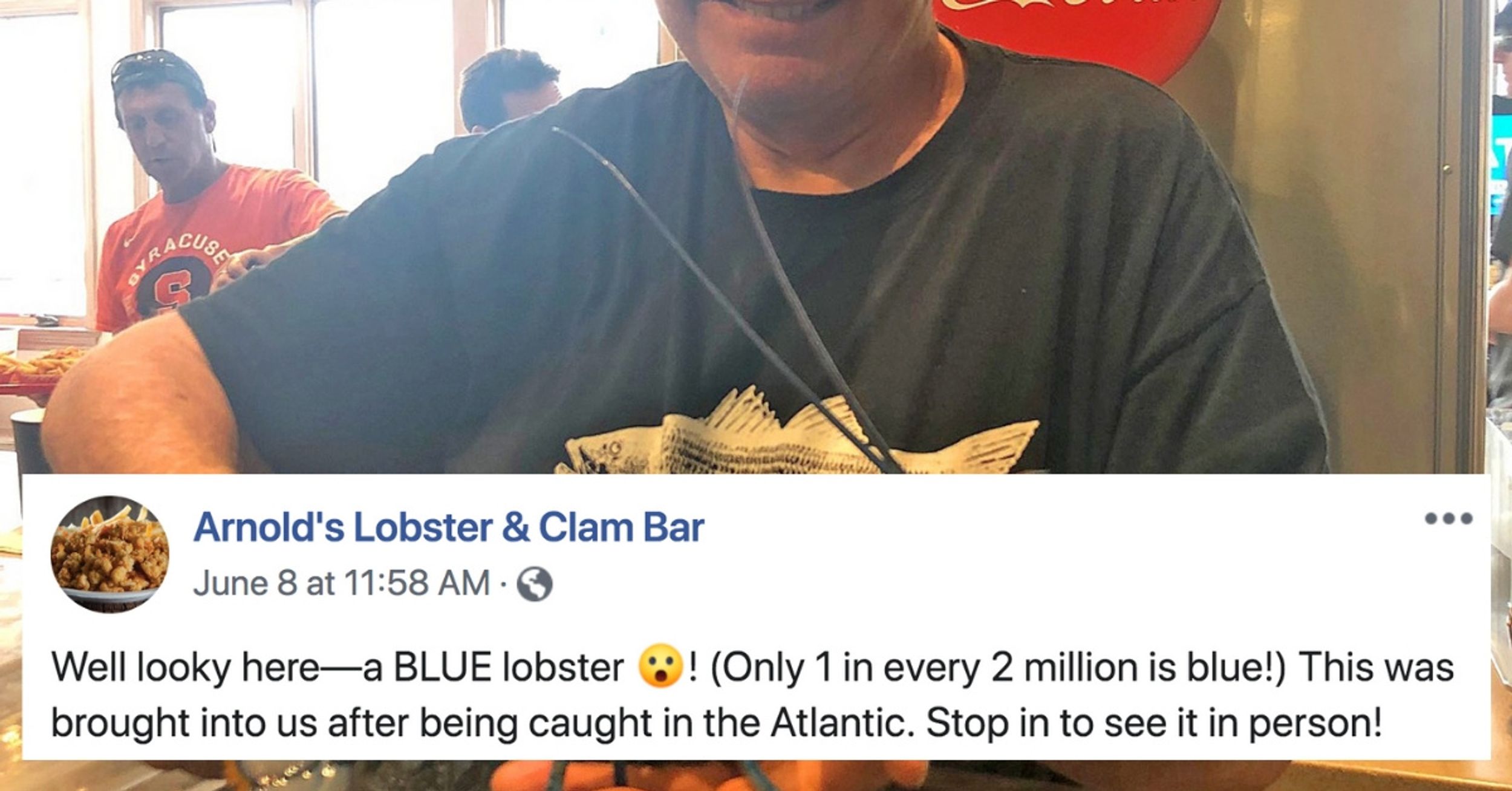 Massachusetts Restaurant Finds Rare Blue Lobster In Their Shipment