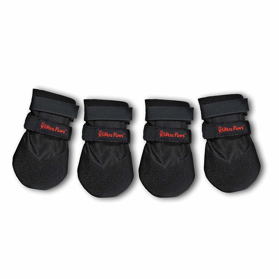 Best Dog Booties for City Dogs Topdust