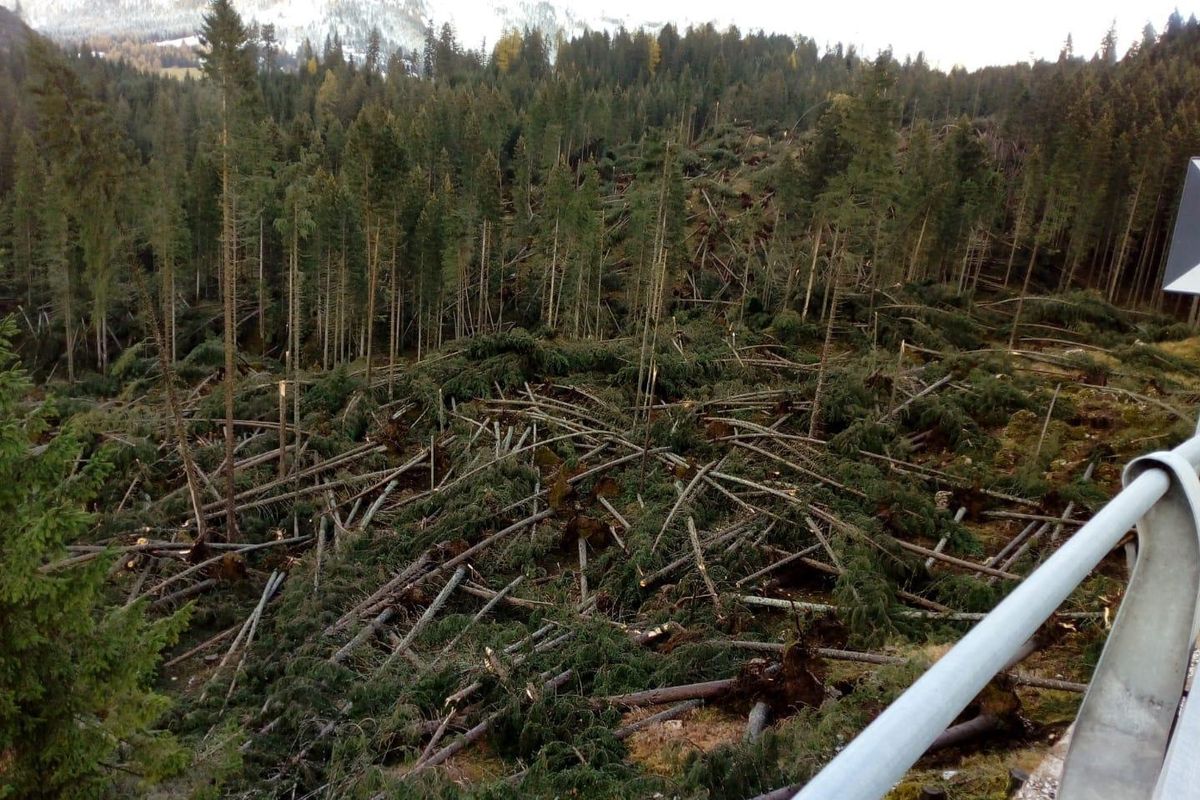 Vicenza in piazza per le montagne e i territori distrutti dalla tempesta Vaia