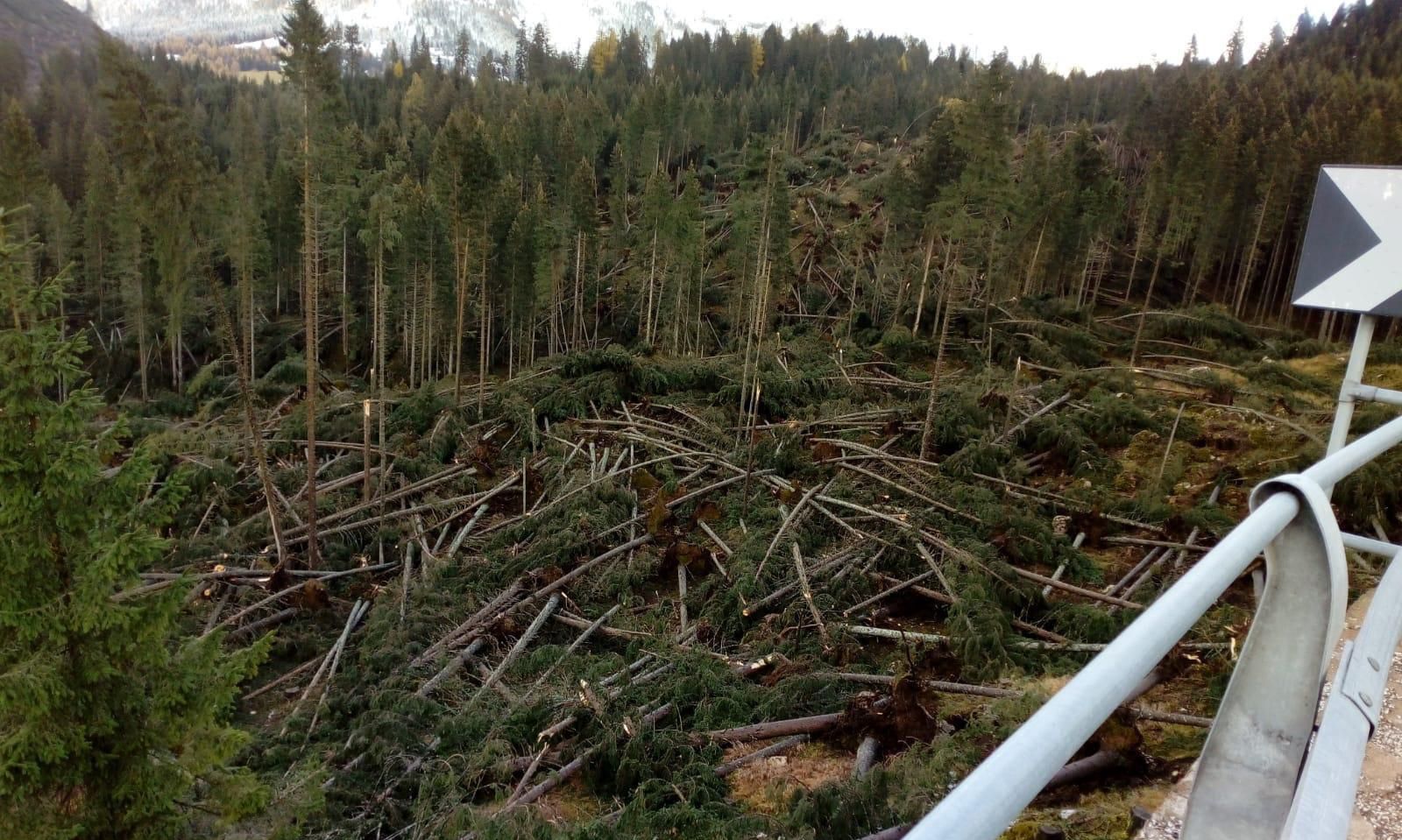 Vicenza in piazza per le montagne e i territori distrutti dalla tempesta Vaia